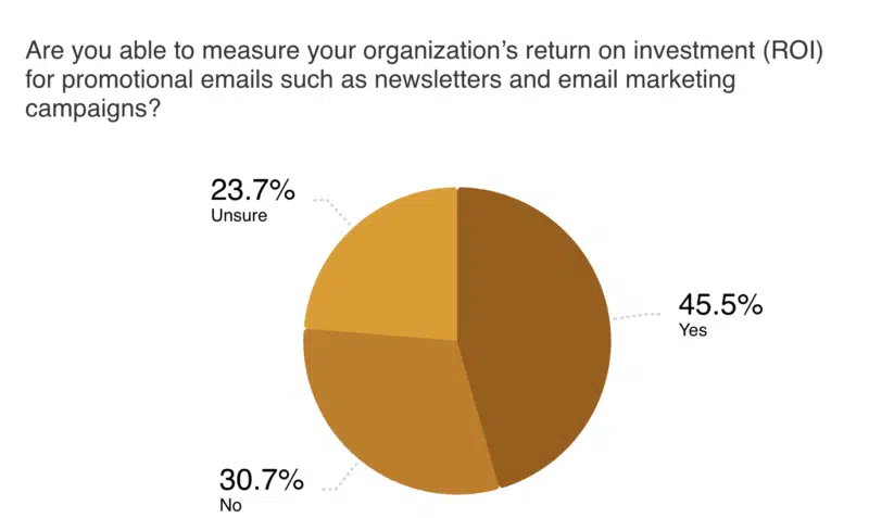 Can You Measure Promo Email Roi